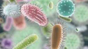 A genetikai (shotgun alapú) mikrobiom vizsgálat és bélflóra vizsgálat, bélflóra regenerálás folyamata, mikrobiom vizsgálat szeged, mikrobiom vizsgálat ára