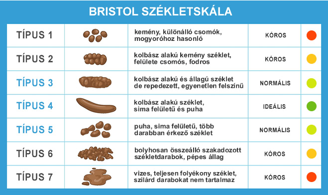 Bristol székletskála