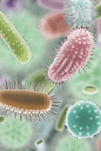 mikrobiom vizsgálat bélflóra vizsgálat széklet mikrobiom elemzés