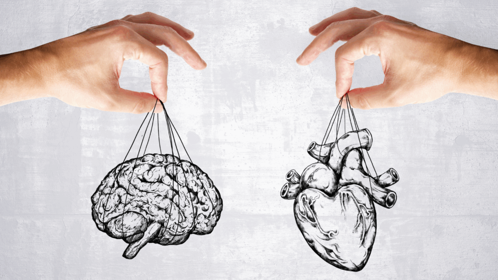 HRV, biofeedback, vérnyomás