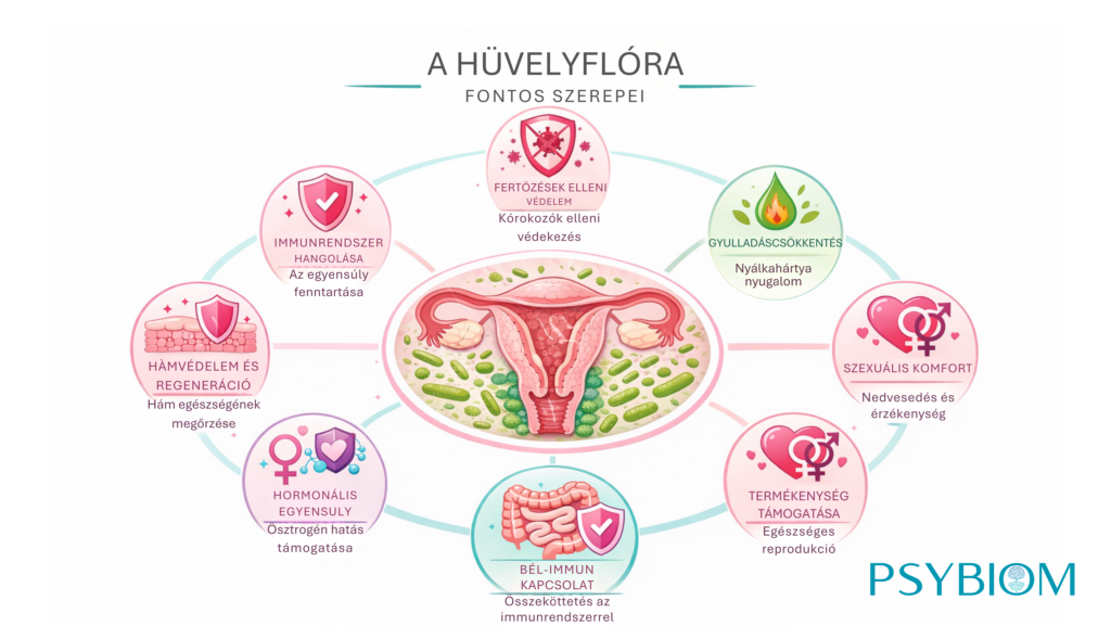Hüvelyflóra, mikrobiom, hasgörcs, hasfájás, puffadás, IBD IBS, crohn, colitis ulcerosa, hasmenés, székrekedés, mikrobiom vizsgálat, bélflóra vizsgálat, delta bio, mikrobiom központ, psybiom, mikrobiom vizsgálat szeged