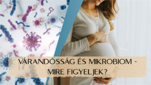 Várandósság és a mikrobiom - utazás a mikrobiom körül