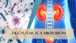 HÚGYUTAK ÉS A MIKROBIOM - utazás a mikrobiom körül