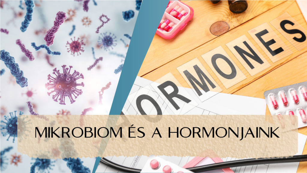 Mikrobiom és a hormonjaink - utazás a mikrobiom körül