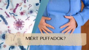 Miért puffadok - Utazás a mikrobiom körül