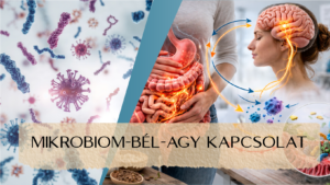 Mikrobiom-bél-agy kapcsolat - Utazás a mikrobiom körül