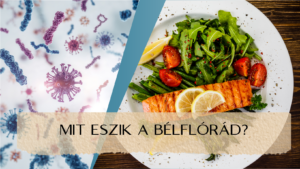Mit eszik a bélflórád - utazás a mikrobiom körül