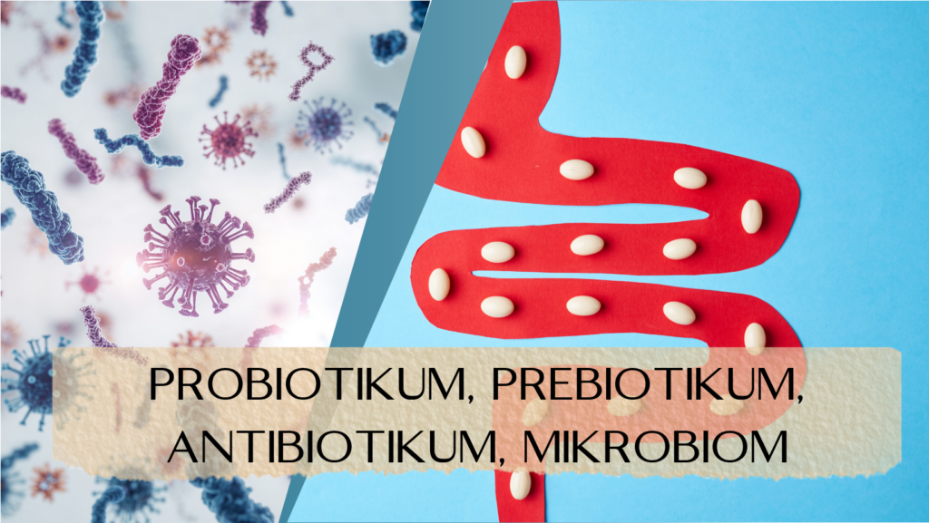 PROBIOTIKUM, PREBIOTIKUM, ANTIBIOTIKUM, MIKROBIOM - utazás a mikrobiom körül
